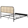 Coaster Fine Furniture 360351Q Amherst - Radio Weave Rattan Metal Queen Bed - Black