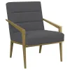 Coaster Fine Furniture 903144 Kirra - Upholstered Metal Arm Accent Chair - Dark Gray