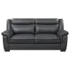 CoasterEveryday 506591 Arabella - Upholstered Padded Arm Sofa - Gray