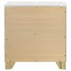 Coaster Fine Furniture 224772 Caraway - 2-Drawer Nightstand - White