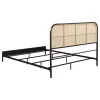 Coaster Fine Furniture 360351Q Amherst - Radio Weave Rattan Metal Queen Bed - Black