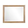 Liberty Furniture 928-BR51 Haven Hills - Landscape Mirror - Camel Beige
