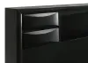 CoasterEssence 202701Q Briana - Wood Queen Storage Bookcase Bed - Black