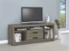 CoasterEssence 701024 Burke - 2-Drawer Engineered Wood TV Stand - Gray Driftwood