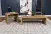 Coaster Fine Furniture 704127 Lynette - Square Engineered Wood End Table - Mango