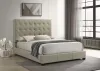 Coaster Fine Furniture 315911TANQ Medley - Genuine Leather Queen Panel Platform Bed - Tan