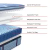 Sealy 53199931/53199931 Sealy 53199931/53199931 Posturepedic Pro - Dupont II Euro Pillow Top Soft Mattress - Split King