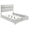 Coaster Fine Furniture 205110F Miranda - Upholstered Full Panel Bed - White