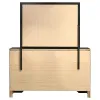 CoasterEveryday 206363M Miranda - 7-Drawer Dresser With Mirror - Black