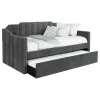 CoasterEssence 315962 Kingston - Upholstered Twin Daybed With Trundle - Charcoal