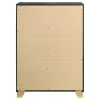 Coaster Fine Furniture 224785 Caraway - 4-Drawer Bedroom Chest - Black
