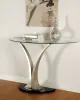 Furniture of America CM4727S Valo - Sofa Table - Satin Plated / Black