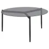 CoasterEveryday 710168 Rosalie - Round Smoked Glass Top Coffee Table - Sandy Black