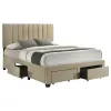 Coaster Fine Furniture 316010Q Wheatland - 4-Drawer Upholstered Queen Storage Bed - Light Brown