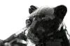 Ashley Furniture A2000419 Drice - Sculpture - Black