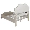 CoasterElevations 223391Q-S4 Evangeline - Queen 4 Piece Bedroom Set - Silver Oak