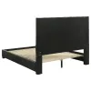 Coaster Fine Furniture 315911BLKQ Medley - Genuine Leather Queen Panel Platform Bed - Black