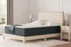Sierra Sleep® by Ashley M43631 Sierra Sleep® by Ashley M43631 Hybrid 1300 - Queen Mattress - White