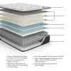 Ashley Sleep® M40631 Elite Springs Plush - Queen Mattress - Gray / Blue