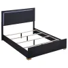 Coaster Fine Furniture 222831Q Marceline - Wood Queen LED Panel Bed - Black