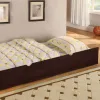 Furniture of America CM-BK358EXP-BED Arizona - Twin Over Full Bunk Bed - Dark Walnut