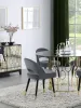 CoasterEssence 192542 Lindsey - Upholstered Dining Side Chair (Set of 2) - Gray