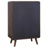 CoasterEssence 205135 Robyn - 5-Drawer Bedroom Chest - Dark Walnut