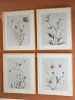 Ashley Furniture A8000469 Chettings - Wall Art Set (Set of 4) - Beige / Gray / Blush