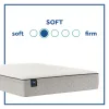 Sealy 52780031 Essentials - Winter Green Soft Faux Euro Top Mattress - Twin Long