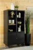 CoasterElevations 951134 Santiago - 4 Door Metal Tall Storage Cabinet - Matte Black