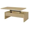 Coaster Fine Furniture 706348 Canoga - Engineered Wood Lift Top Coffee Table - Light Oak