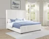 Coaster Fine Furniture 306051KE Natasha - Upholstered Eastern King Wingback Bed - Cream