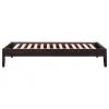 CoasterEssence 300555T Hounslow - Twin Universal Platform Bed - Cappuccino