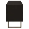 Coaster Fine Furniture 703003 Marsden - 2 Door Mango Wood TV Stand - Charcoal Black
