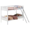 CoasterEveryday 405051WHT Littleton - Wood Twin Over Twin Bunk Bed - White