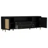 Coaster Fine Furniture 720263 Arini - Rattan Cane 2-Door TV Stand Media Console - Black