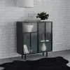 Coaster Fine Furniture 950385 Dalia - 2 Door Accent Storage Cabinet With Shelving - Black