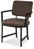 Pulaski Furniture P419271 Modern Mosaic - Upholstered Arm Chair (Set of 2) - Brown