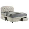 Coaster Fine Furniture 316011Q Marianna - 4-Drawer Upholstered Queen Storage Bed - Cream