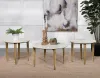Coaster Fine Furniture 703718-S3 Aldis - 3 Piece Coffee And End Table Set - White