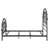 CoasterEssence 300407T Rowan - Metal Twin Open Frame Bed - Dark Bronze