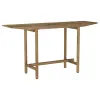 Coaster Fine Furniture 930128 Darius - Solid Wood Entryway Console Table - Mango