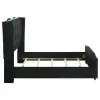 Coaster Fine Furniture 223161Q Lorient - Queen LED Upholstered Wingback Bed - Black