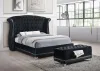 CoasterElevations 300644 Barzini - Velvet Upholstered Tufted Storage Bench - Black