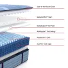 Sealy 53199531/53199531 Sealy 53199531/53199531 Posturepedic Pro - Dupont II Tight Top Firm Mattress - Split King