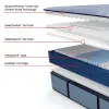 Sealy 53199031/53199031 Sealy 53199031/53199031 Posturepedic Plus - Paterson II Tight Top Medium Mattress - Split King