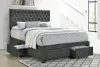 CoasterEssence 305877Q Soledad - Upholstered Queen Storage Panel Bed - Gray