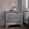 Furniture of America CM7579N Alanis - Nightstand - Light Gray