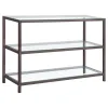 CoasterEssence 720229 Trini - 2-Shelf Glass Top Entryway Console Table - Black Nickel
