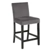 New Classic D400-22-GRY Celeste - Counter Chair (Set of 2) - Gray